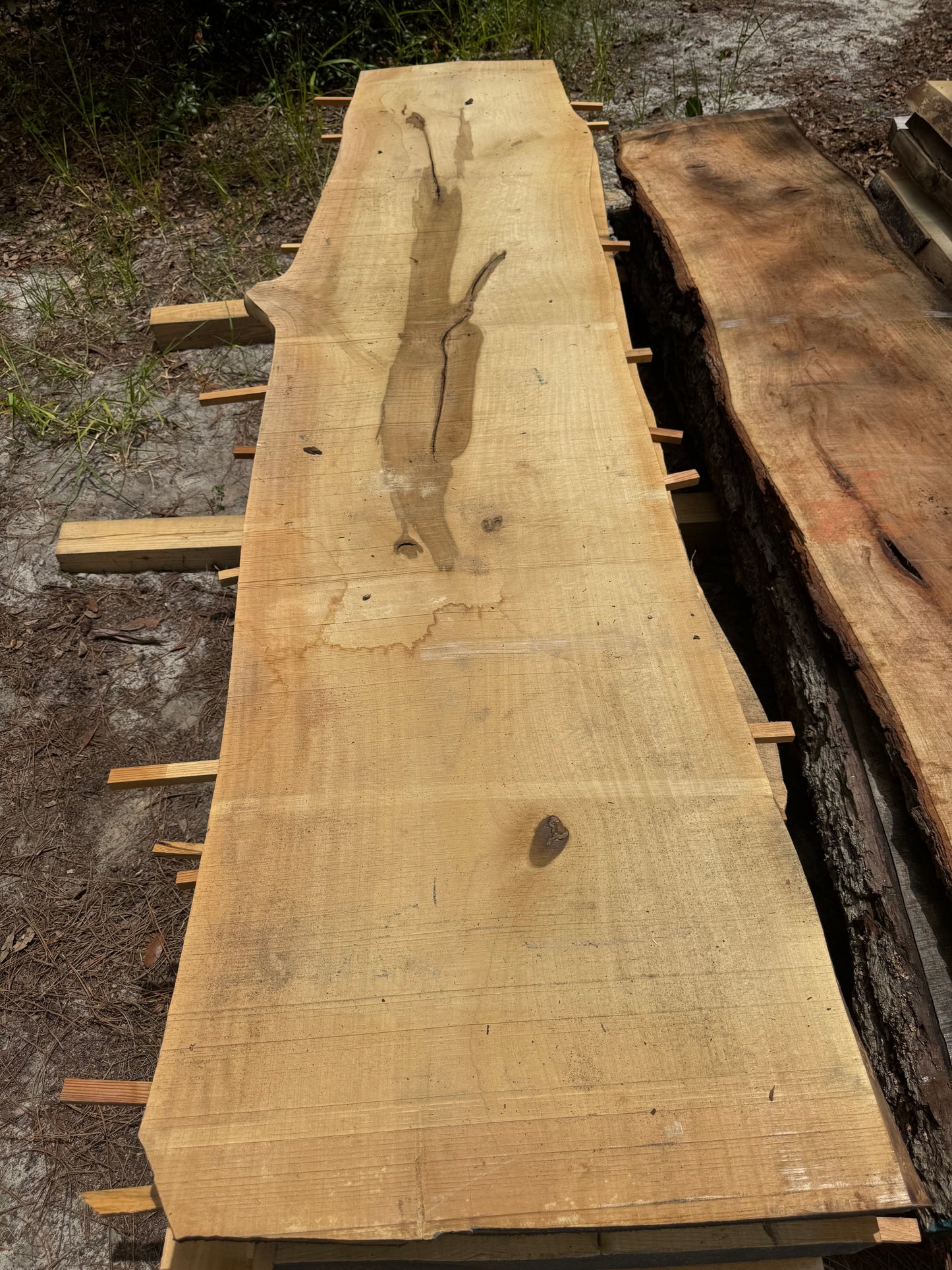 Magnolia Slab