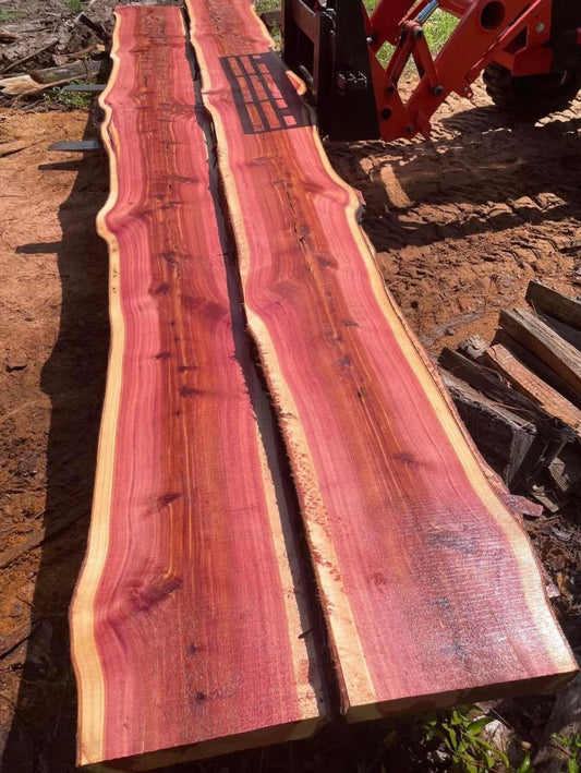 Red Cedar