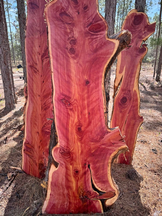 Curly Red Cedar Slabs