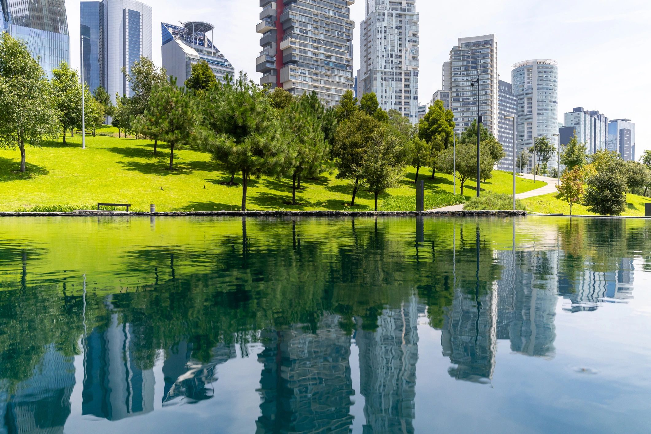Green forest representing responsible wood sourcing