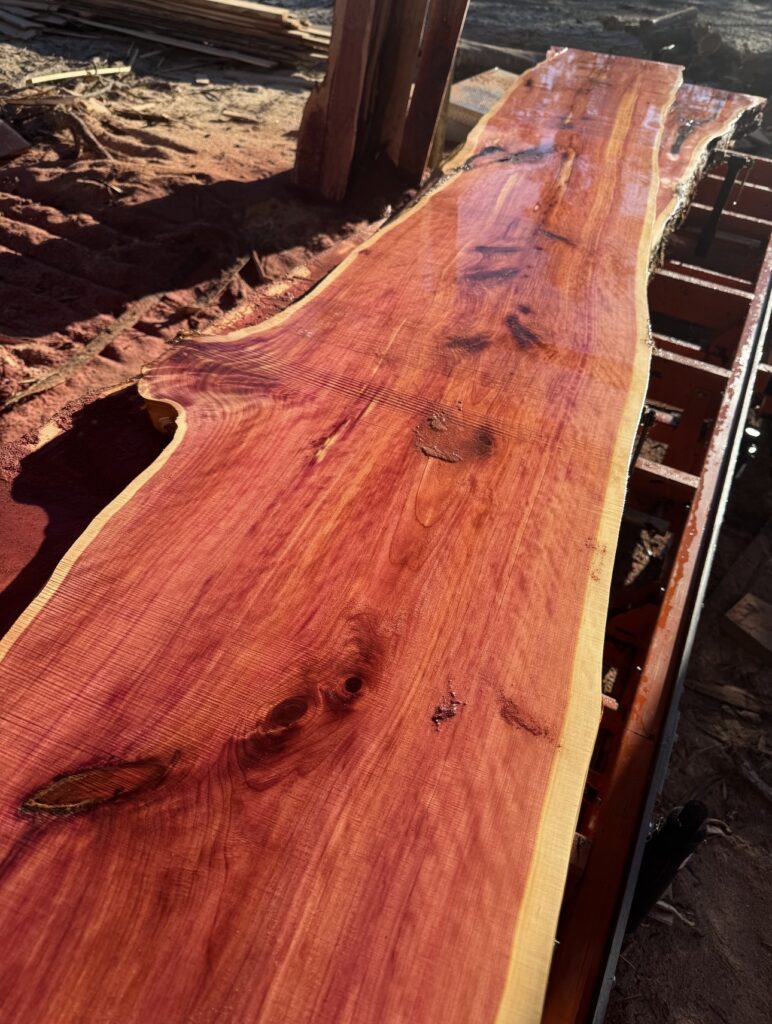 Live-Edge Eastern Red Cedar Slab